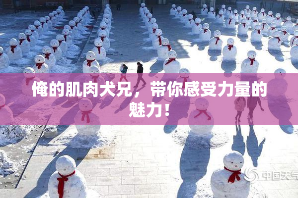 俺的肌肉犬兄，带你感受力量的魅力！