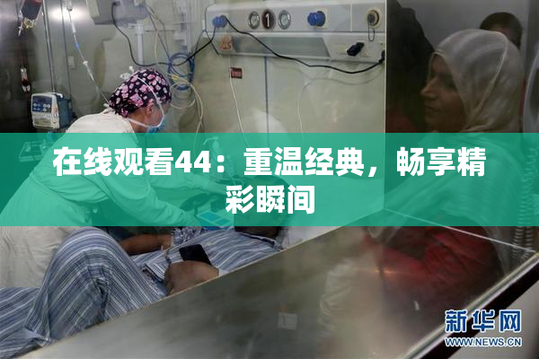 在线观看44：重温经典，畅享精彩瞬间