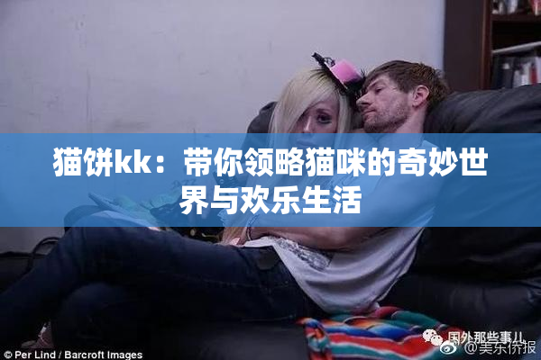 猫饼kk：带你领略猫咪的奇妙世界与欢乐生活