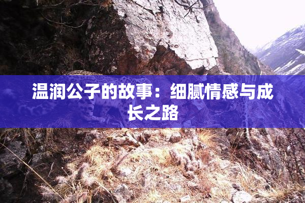 温润公子的故事：细腻情感与成长之路