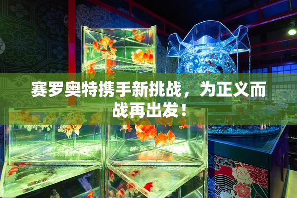 赛罗奥特携手新挑战，为正义而战再出发！