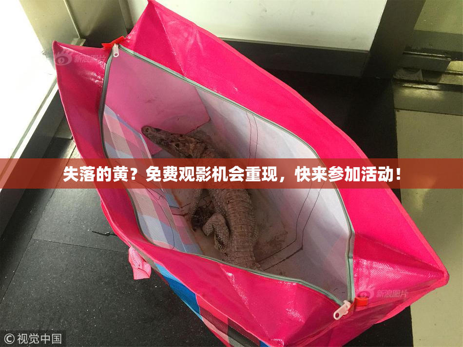 失落的黄？免费观影机会重现，快来参加活动！