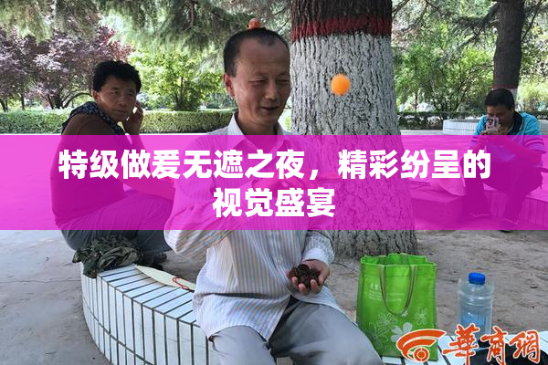 特级做爰无遮之夜，精彩纷呈的视觉盛宴