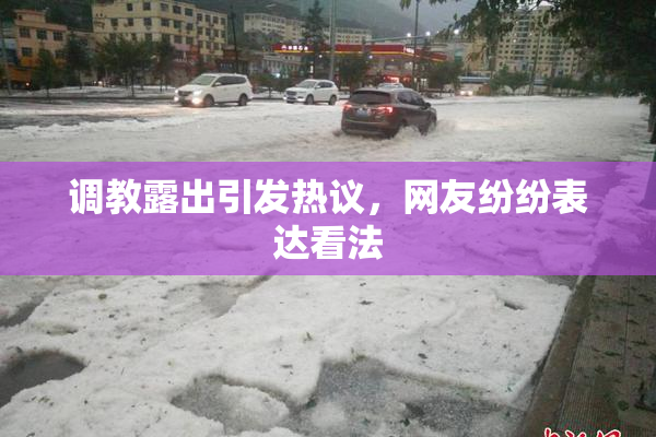 调教露出引发热议，网友纷纷表达看法