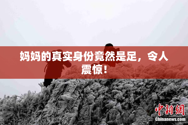 妈妈的真实身份竟然是足，令人震惊！