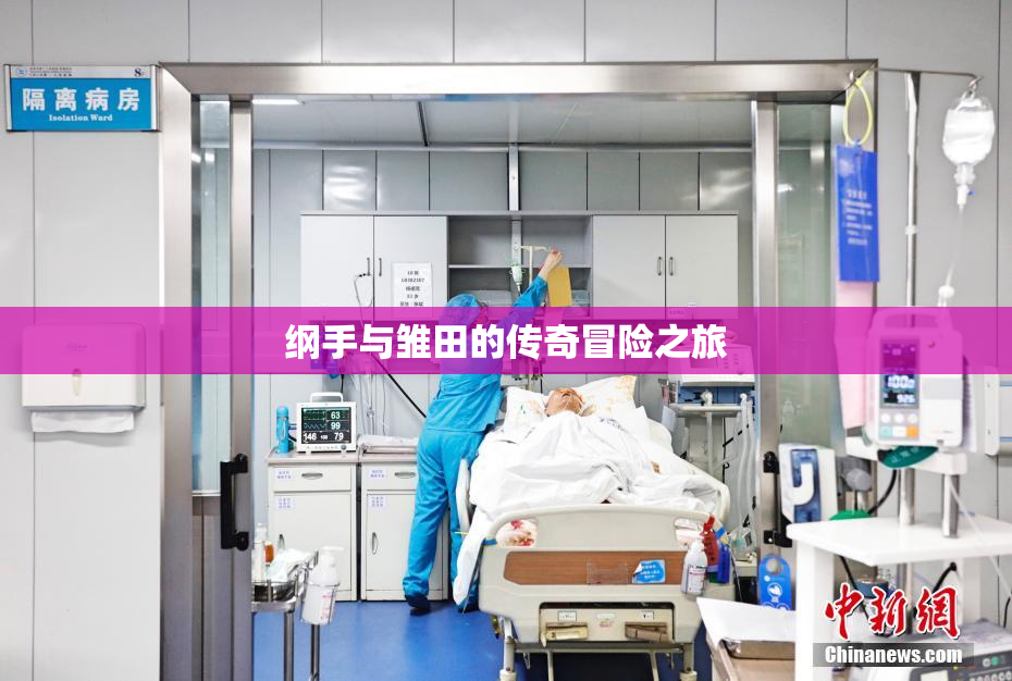 纲手与雏田的传奇冒险之旅