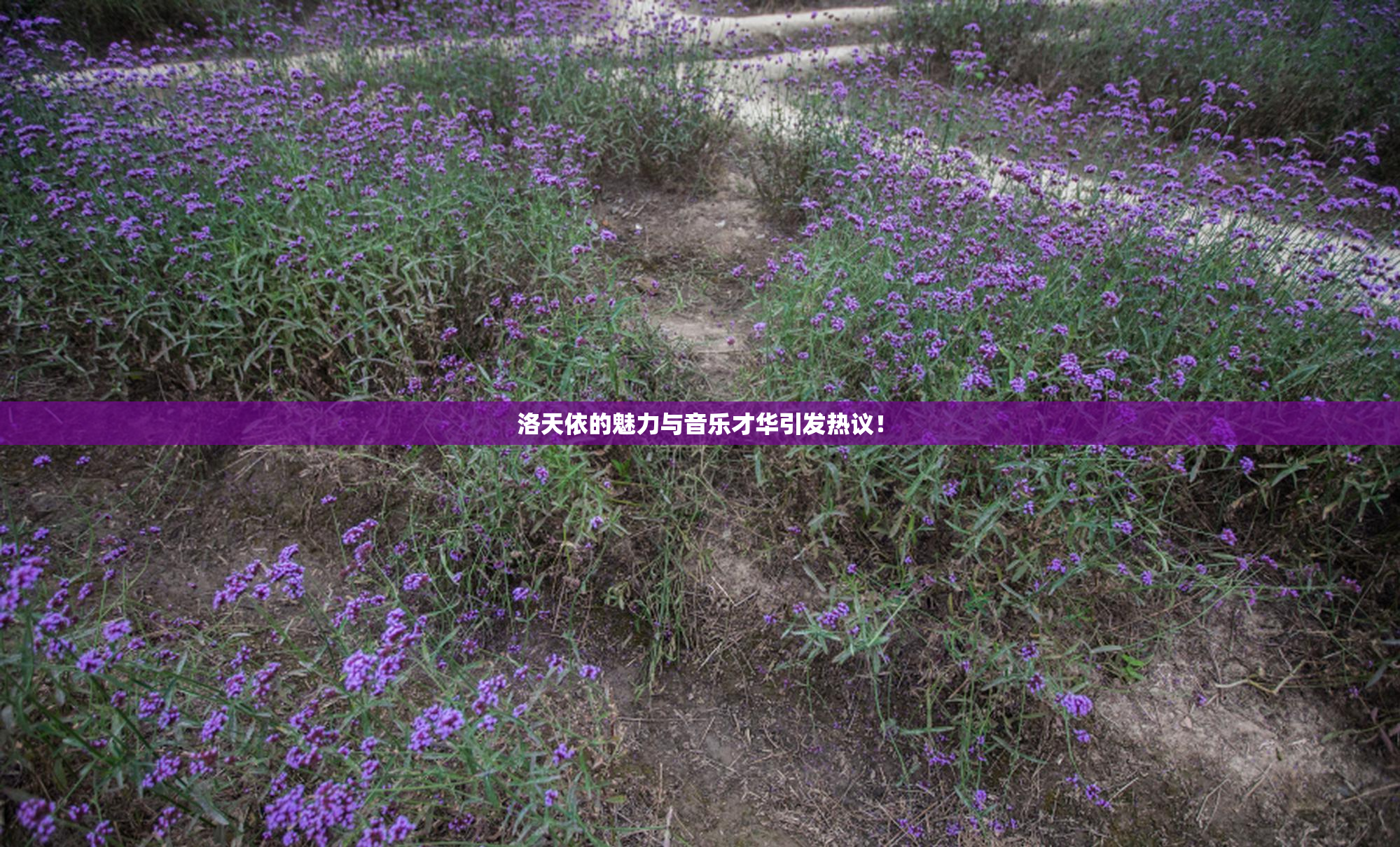 洛天依的魅力与音乐才华引发热议！