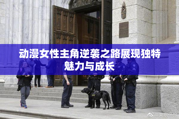 动漫女性主角逆袭之路展现独特魅力与成长