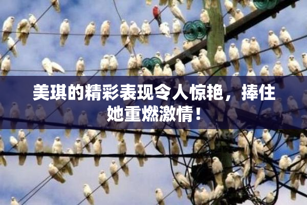 美琪的精彩表现令人惊艳，捧住她重燃激情！