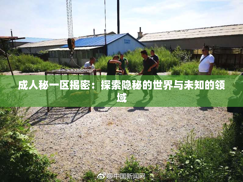 成人秘一区揭密：探索隐秘的世界与未知的领域