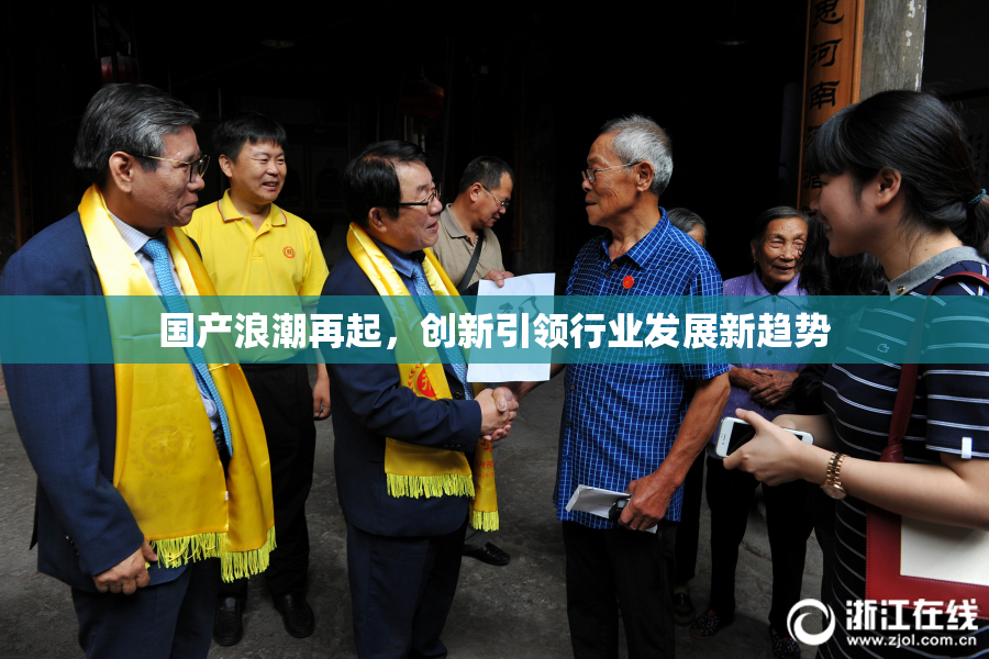 国产浪潮再起，创新引领行业发展新趋势