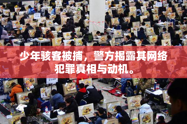 少年骇客被捕，警方揭露其网络犯罪真相与动机。