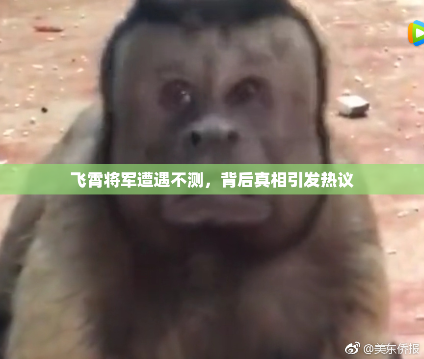 飞霄将军遭遇不测，背后真相引发热议