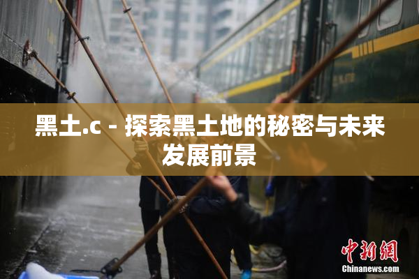 黑土.c - 探索黑土地的秘密与未来发展前景