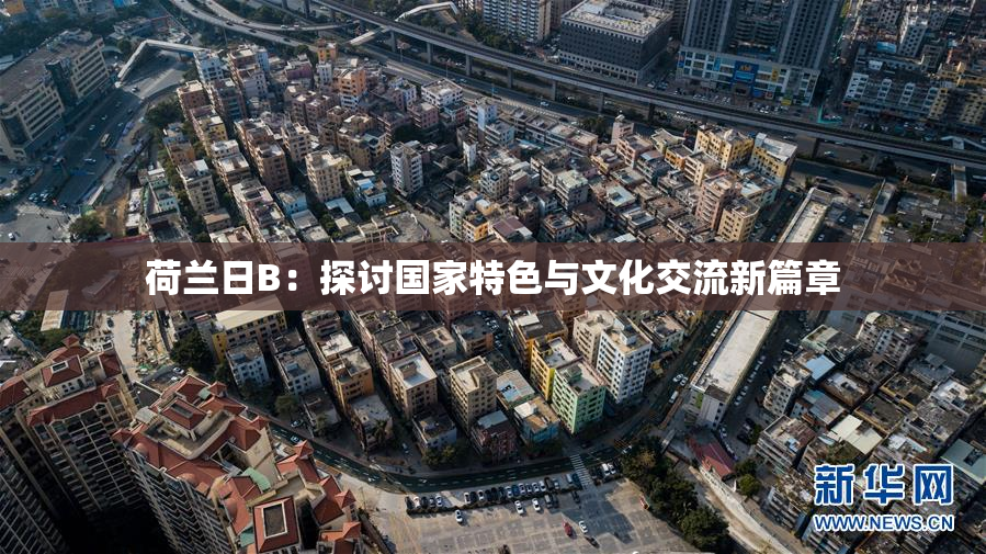 荷兰日B：探讨国家特色与文化交流新篇章