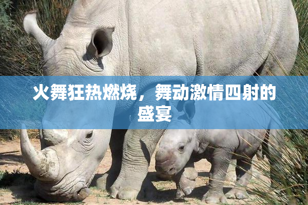 火舞狂热燃烧，舞动激情四射的盛宴
