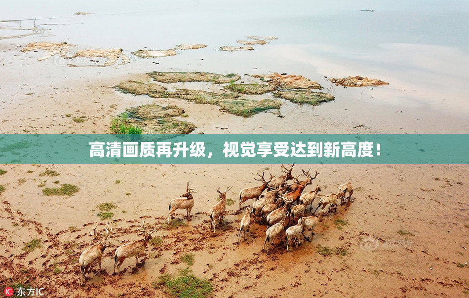 高清画质再升级，视觉享受达到新高度！