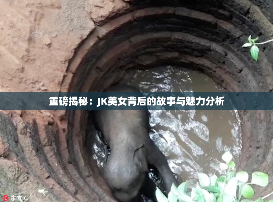 重磅揭秘：JK美女背后的故事与魅力分析