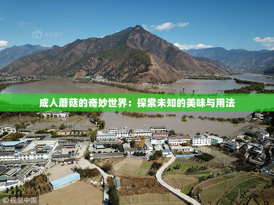 成人蘑菇的奇妙世界：探索未知的美味与用法