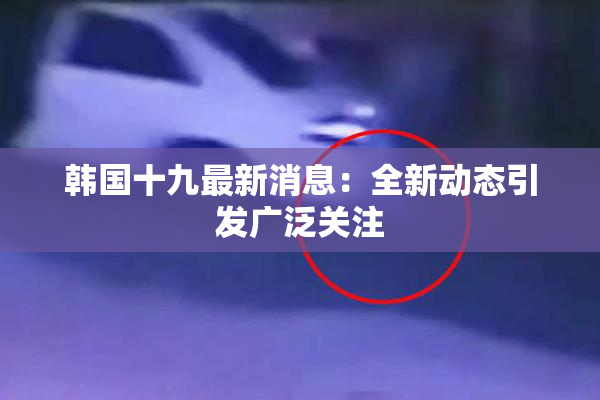 韩国十九最新消息：全新动态引发广泛关注