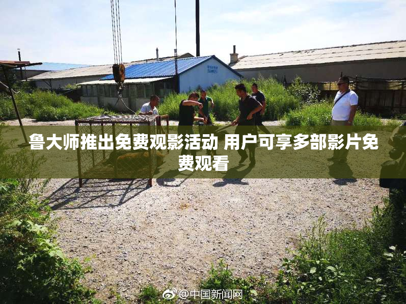 鲁大师推出免费观影活动 用户可享多部影片免费观看