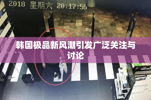 韩国极品新风潮引发广泛关注与讨论