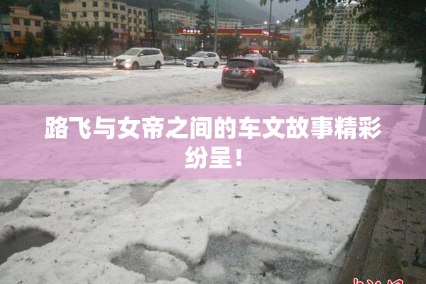 路飞与女帝之间的车文故事精彩纷呈！