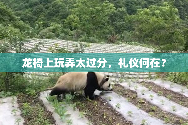 龙椅上玩弄太过分，礼仪何在？