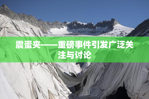 震蛋夹――重磅事件引发广泛关注与讨论