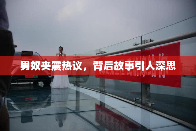 男奴夹震热议，背后故事引人深思