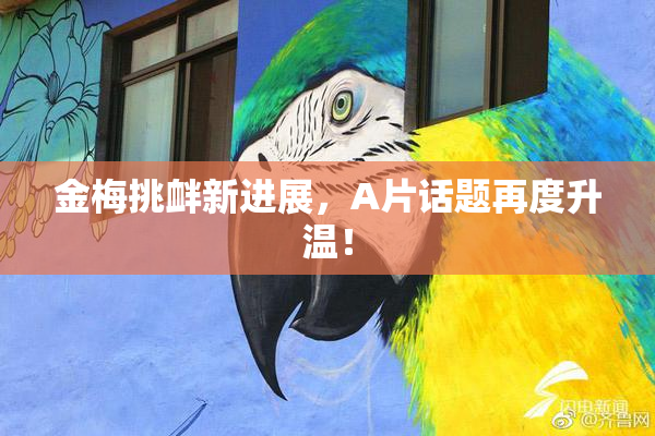 金梅挑衅新进展，A片话题再度升温！