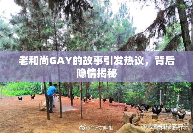 老和尚GAY的故事引发热议，背后隐情揭秘