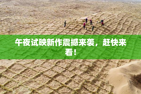 午夜试映新作震撼来袭，赶快来看！