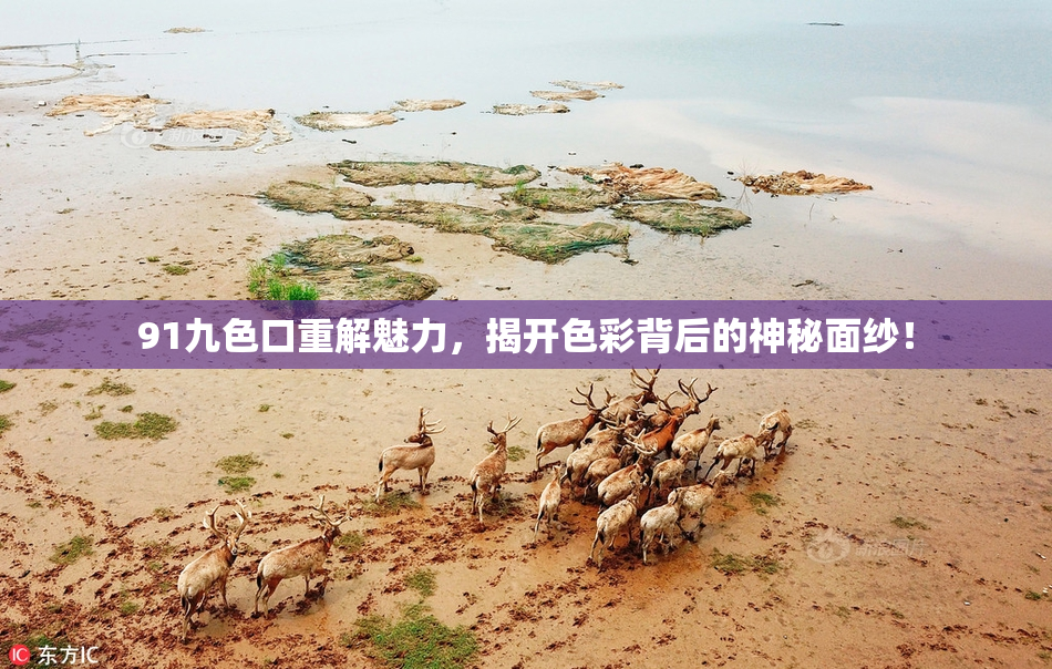 91九色口重解魅力，揭开色彩背后的神秘面纱！