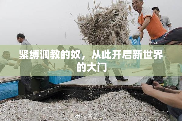 紧缚调教的奴，从此开启新世界的大门