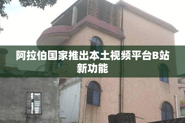 阿拉伯国家推出本土视频平台B站新功能