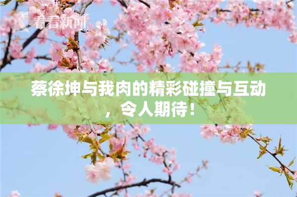 蔡徐坤与我肉的精彩碰撞与互动，令人期待！