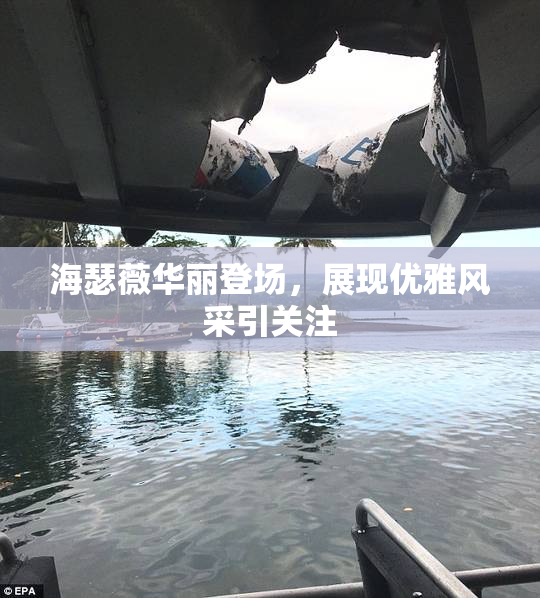 海瑟薇华丽登场，展现优雅风采引关注