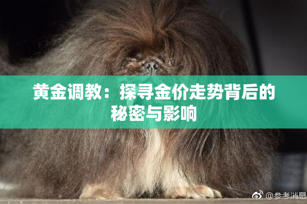 黄金调教：探寻金价走势背后的秘密与影响