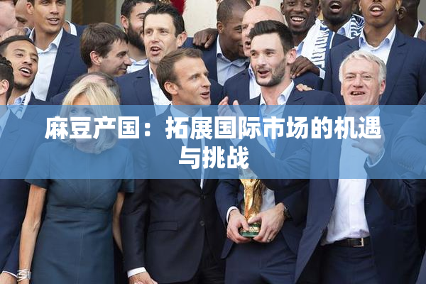 麻豆产国：拓展国际市场的机遇与挑战