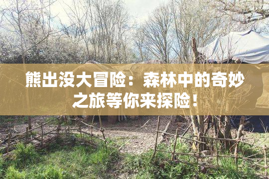 熊出没大冒险：森林中的奇妙之旅等你来探险！