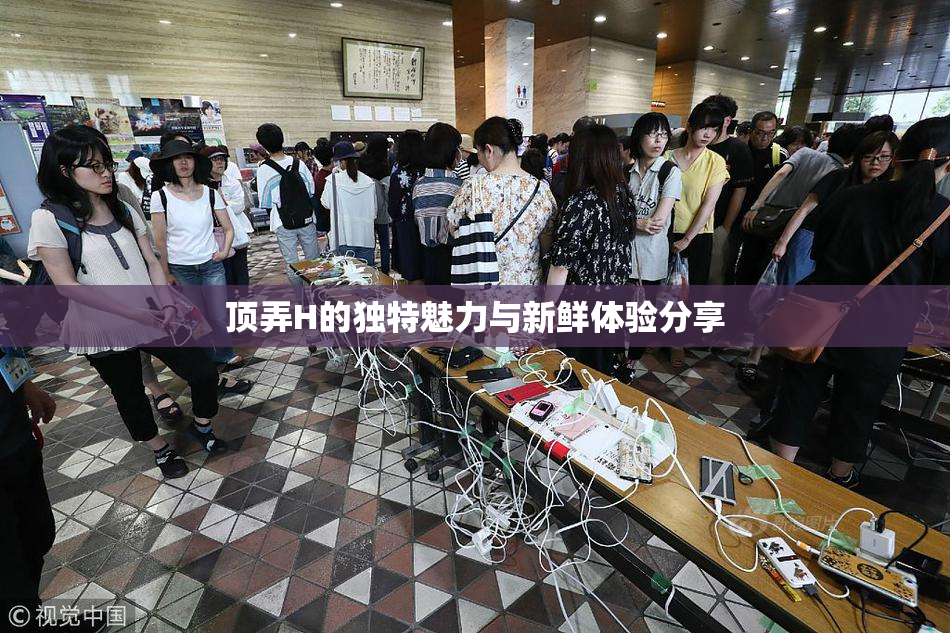 顶弄H的独特魅力与新鲜体验分享
