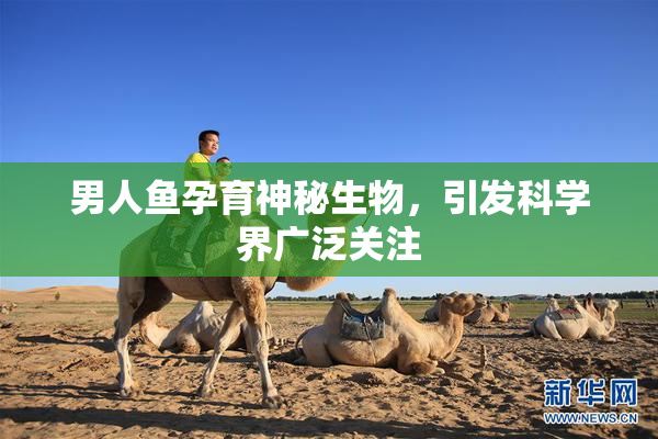 男人鱼孕育神秘生物，引发科学界广泛关注