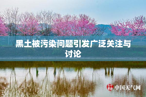 黑土被污染问题引发广泛关注与讨论