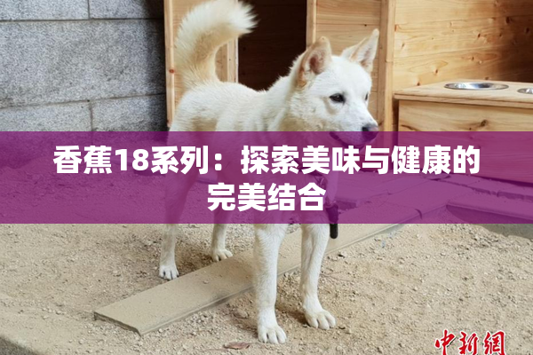 香蕉18系列：探索美味与健康的完美结合