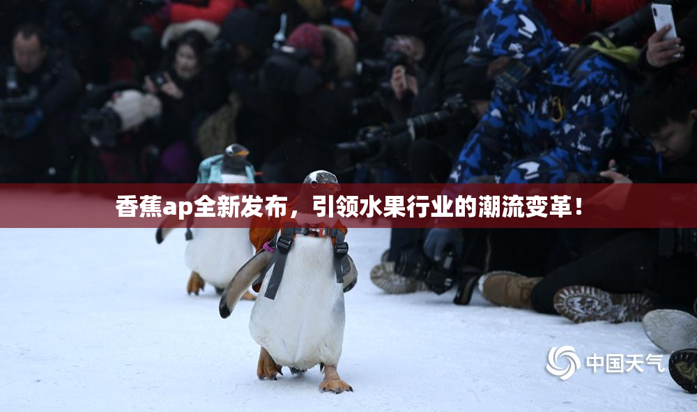 香蕉ap全新发布，引领水果行业的潮流变革！