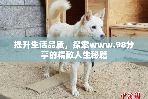提升生活品质，探索www.98分享的精致人生秘籍
