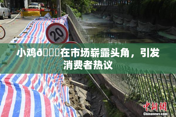 小鸡🐔在市场崭露头角，引发消费者热议