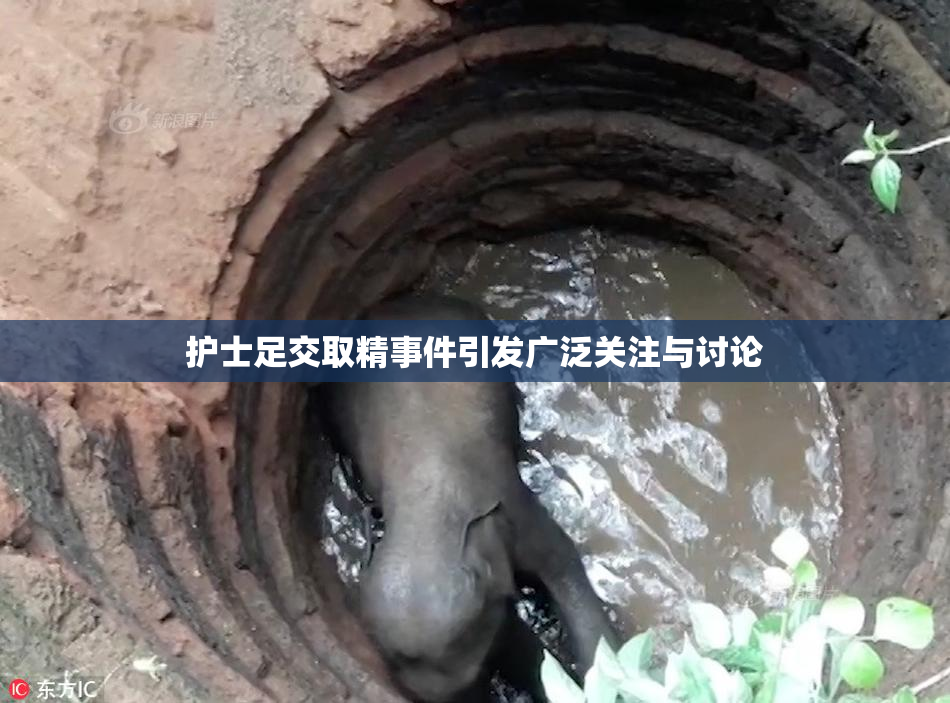 护士足交取精事件引发广泛关注与讨论
