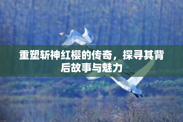 重塑斩神红樱的传奇，探寻其背后故事与魅力